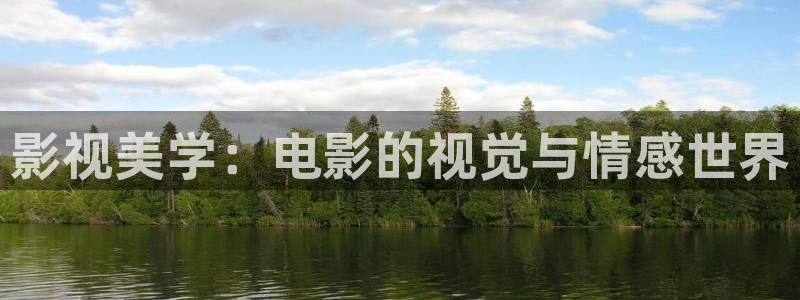 四虎影院 4hu：影视美学：电影的视觉与情感世界