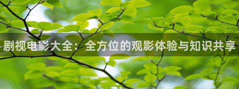 www.四虎影院com：剧视电影大全：全方位的观影体验与知识共享