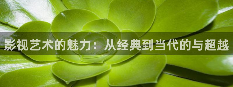 四虎影视www.4hu：影视艺术的魅力：从经典到当代的与超越